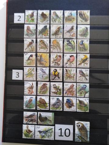 Lot de 40 Timbres Belgique oiseaux BUZIN beschikbaar voor biedingen