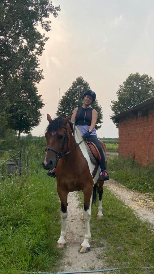 Verzorg paardje, Dieren en Toebehoren, Paarden, Merrie, Zadelmak, Minder dan 160 cm, 3 tot 6 jaar, Recreatiepaard