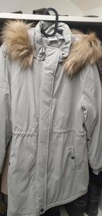Dames parka jas - L/XL, Ophalen of Verzenden, Zo goed als nieuw, Maat 42/44 (L)