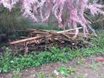 Bois à donner, Jardin & Terrasse, Bois de chauffage, Enlèvement ou Envoi