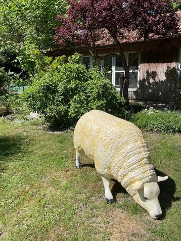 (Tuin)Beeld texel schaap, eye catcher tuin, boerderij, 75 cm beschikbaar voor biedingen