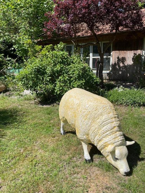 (Tuin)Beeld texel schaap, eye catcher tuin, boerderij, 75 cm, Tuin en Terras, Tuinbeelden, Nieuw, Dierenbeeld, Kunststof, Ophalen