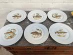 Limoges 6delig servies borden, Ophalen