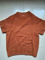 Bruine korte mouwen trui Hampton Bays mt xs, Kleding | Dames, Truien en Vesten, Ophalen of Verzenden