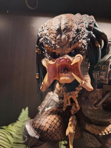 Prime 1 studio predator 1/4 beschikbaar voor biedingen