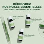 Lavande biologique Pranarôm | huile essentielle | chémotype, Neuf, -, -, Pranarom