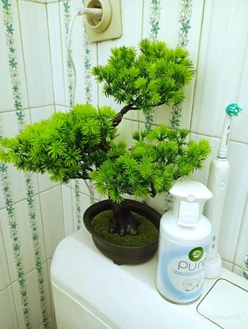 Bonsai kunstplantendecoratie zen decoratie beschikbaar voor biedingen