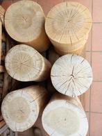 Troncs de chênes., Enlèvement ou Envoi, Neuf