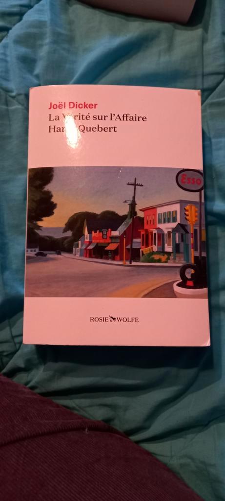 La vérité sur l'affaire Harry Quebert, Boeken, Detectives, Ophalen of Verzenden