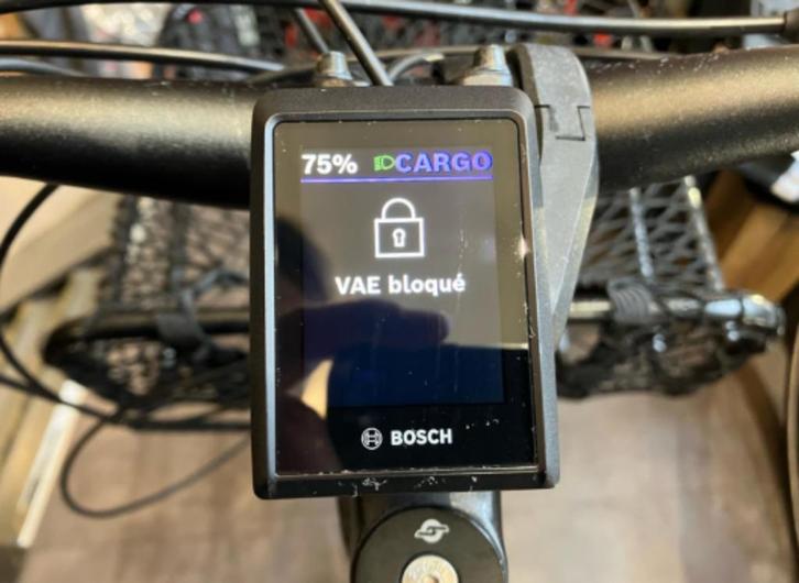 VELO CARGO ELECTRIQUE LONGTAIL, Fietsen en Brommers, Overige Fietsen en Brommers, Zo goed als nieuw, Ophalen of Verzenden