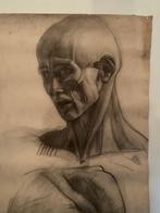 Grote oude anatomische houtskool tekening, Antiek en Kunst, Ophalen of Verzenden