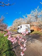 Camping-car à vendre, lits longs, Particulier