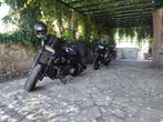 Harley-Davidson Fat Bob 114, 2 cilinders, Chopper, Particulier, Meer dan 35 kW