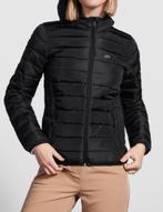 Lacoste Jas Met kap Dames S,M,L,XL,2XL Nieuw, Overige kleuren, Verzenden, Maat 46/48 (XL) of groter, Nieuw