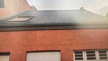 dakpannen + velux + goot beschikbaar voor biedingen
