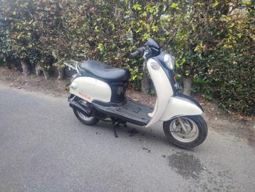 Alfa beet klasse a beschikbaar voor biedingen