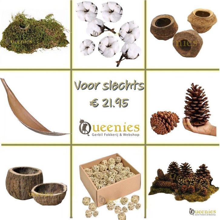 Natuurlijk hamster speelgoed voor hamsterscaping, Animaux & Accessoires, Rongeurs & Lapins | Accessoires, Neuf, Jouet, Enlèvement ou Envoi