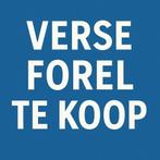 Forel- en zalmforel te koop, Watersport en Boten, Hengelsport | Algemeen, Ophalen, Nieuw, Overige typen