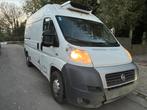 Fiat Ducato 3.0 Diesel Frigo, Auto's, Bedrijf, Overige carrosserie, Euro 4, Te koop