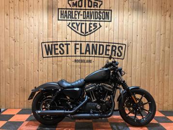 Harley-Davidson Iron 883 (bj 2020)