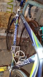 Chesini Genius , Dura-Ace, Enlèvement