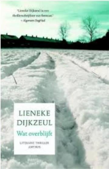 Lieneke Dijkzeul - Wat overblijft beschikbaar voor biedingen