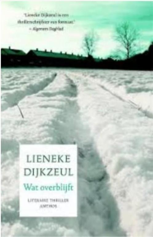Lieneke Dijkzeul - Wat overblijft, Boeken, Thrillers, Zo goed als nieuw, Nederland, Ophalen of Verzenden