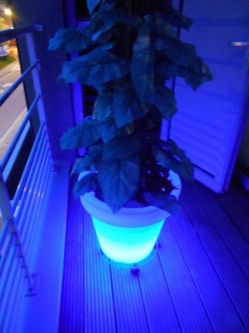 cache pot lumineux avec plante artificielle, Jardin & Terrasse, Pots de fleurs, Utilisé, Synthétique, Balcon, Jardin, 40 à 70 cm