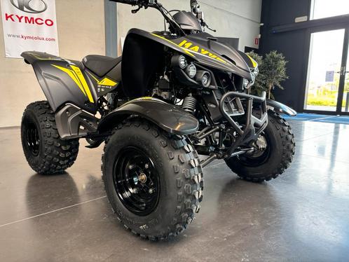 QUAD KYMCO MAXXER 300, Motos, Quads & Trikes, jusqu'à 11 kW, 1 cylindre, Enlèvement