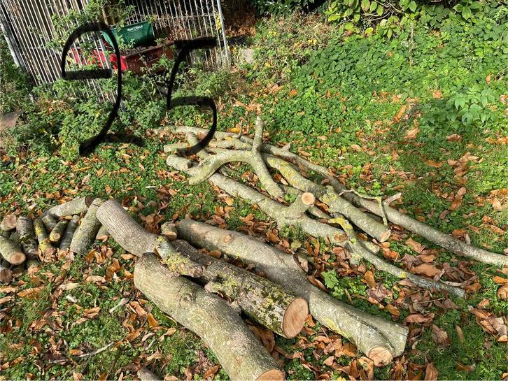 Walnoot brandhout, Tuin en Terras, Brandhout, Stammen, Ophalen