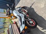 Moto Guzzi V65 Lario, Motoren, Motoren | Oldtimers