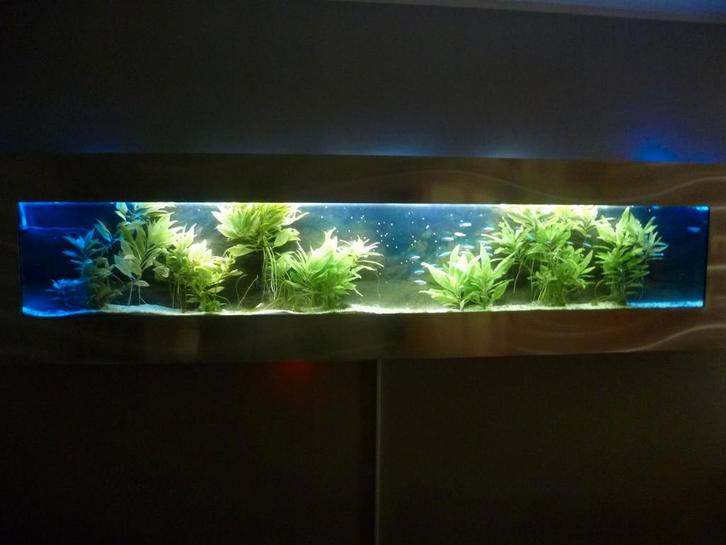Nieuw nieuw, een aquarium dat je aan de muur ophangt, Dieren en Toebehoren, Vissen | Aquaria en Toebehoren, Zo goed als nieuw