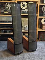 Martin Logan Summit (Zie omschrijving), Audio, Tv en Foto, Luidsprekerboxen, Ophalen, Gebruikt, Front, Rear of Stereo speakers