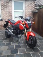 Honda msx 125cc, Motoren, Particulier