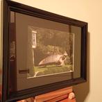 Jan fabre "Searching for Utopia", Antiek en Kunst, Kunst | Litho's en Zeefdrukken, Ophalen of Verzenden