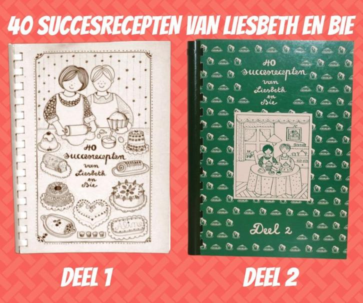 40 SUCCESRECEPTEN van LIESBETH en BIE 1 & 2, Boeken, Kookboeken, Zo goed als nieuw, Ophalen of Verzenden