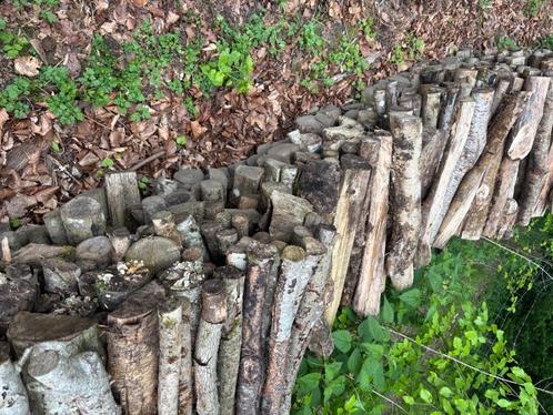 Bois de chauffage, Tuin en Terras, Brandhout, Blokken, Beukenhout, 6 m³ of meer, Ophalen