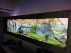 Nieuw nieuw, een aquarium dat je aan de muur ophangt, Dieren en Toebehoren, Ophalen, Zo goed als nieuw