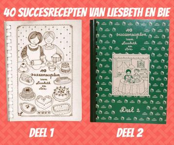 40 SUCCESRECEPTEN van LIESBETH en BIE 1 & 2 beschikbaar voor biedingen