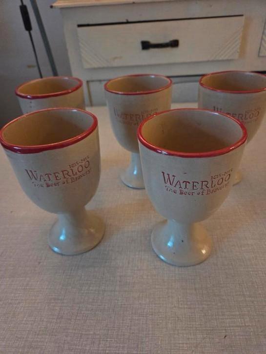 Waterloo The Beer of Bravery, Verzamelen, Biermerken, Zo goed als nieuw, Pul(len), Ophalen of Verzenden