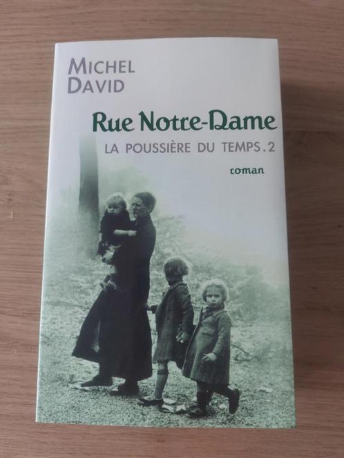 Michel David - La poussière du temps - T. 2 - Rue Notre-Dame, Boeken, Romans, Zo goed als nieuw, Europa overig, Ophalen of Verzenden