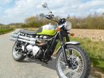 triumph scrambler 865Efi, Motos, 865 cm³, Plus de 35 kW, 2 cylindres, Particulier