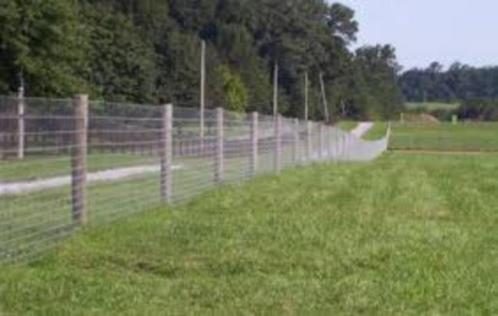*gezocht* Privé weide voor geitjes, regio Landen, Dieren en Toebehoren, Stalling en Weidegang, Opfok, Stalling, Weidegang, Accessoires