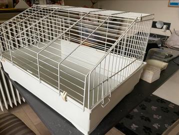 Kooi konijn of hamster  nog in goede staat  beschikbaar voor biedingen