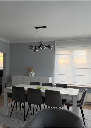 Eettafel voor 8 personen, Huis en Inrichting, Tafels | Eettafels, Ophalen, Zo goed als nieuw