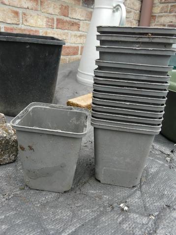GRATIS : gerecupereerde bloempotjes in plastiek beschikbaar voor biedingen