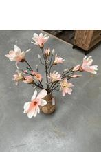magnolia tak, Nieuw, Ophalen of Verzenden