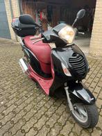 Honda psi, Particulier