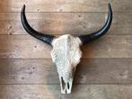 Longhoorn skull dierenschedel longhorn skulls dierenhoofd, Envoi, Neuf