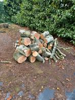 Pas gerooide berk 75 euro per m3, Tuin en Terras, Brandhout, Ophalen of Verzenden, Berkenhout